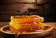 غذاء ملكات النحل والقدرة الجنسية