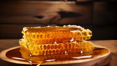 غذاء ملكات النحل والقدرة الجنسية